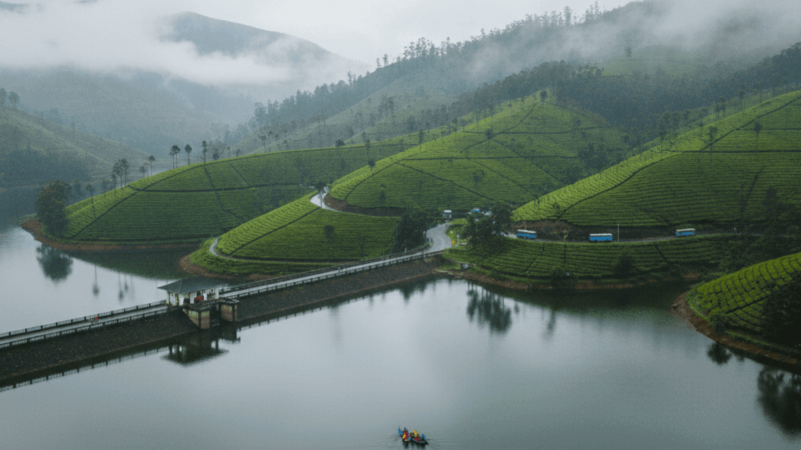 How Rain, Tea Hills, and Slow Roads Shape a Better Munnar Trip