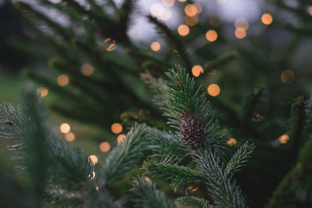 Why Poznan Christmas Market is a Place With Ultimate Holiday Vibes!