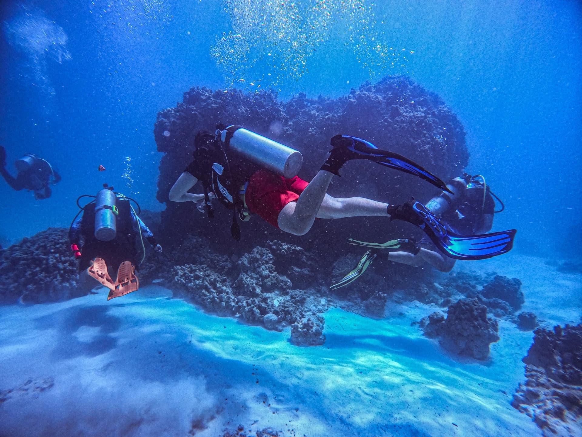 Best Scuba Diving Places in India: Why Goa Remains a Top Favorite for Adventurers