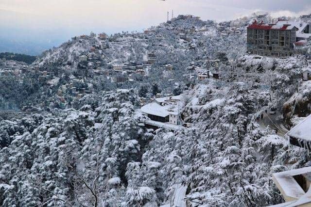 Witnessing the first snowfall in Shimla this Winter 2025
