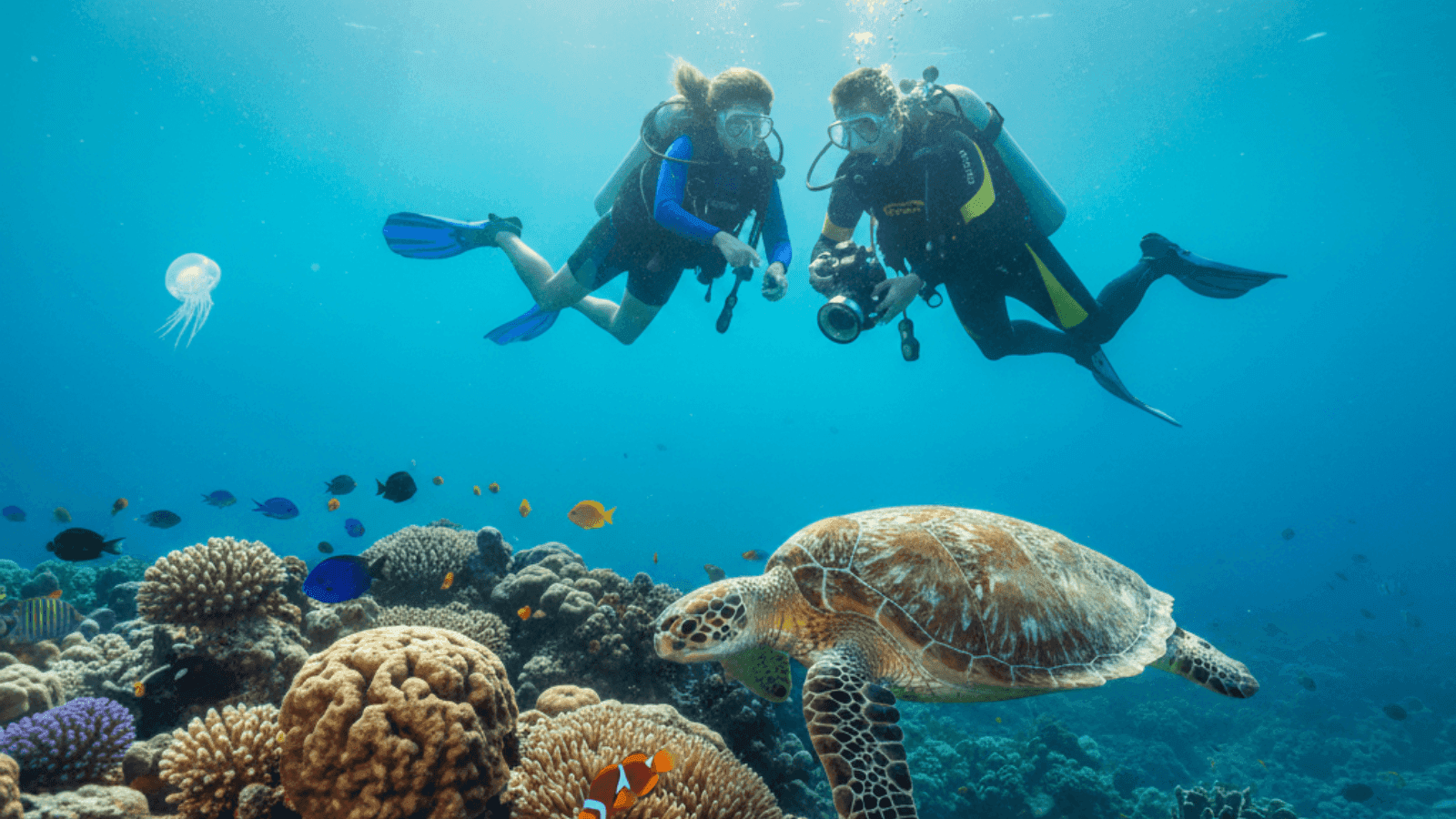 Scuba Diving in India for Those Who Want Depth Over Distance
