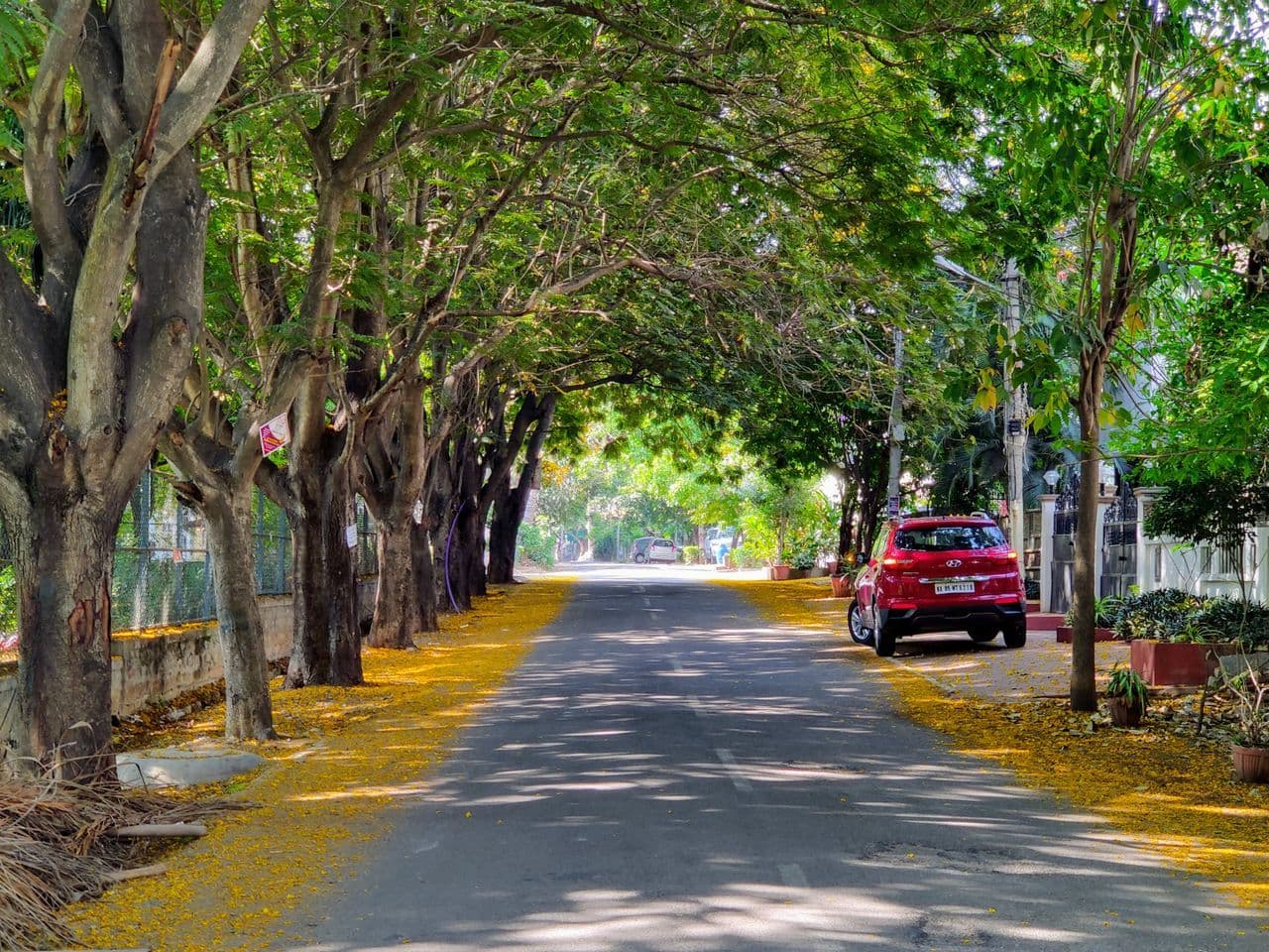 One Day Trips from Bangalore: Best Weekend Getaways Near the City