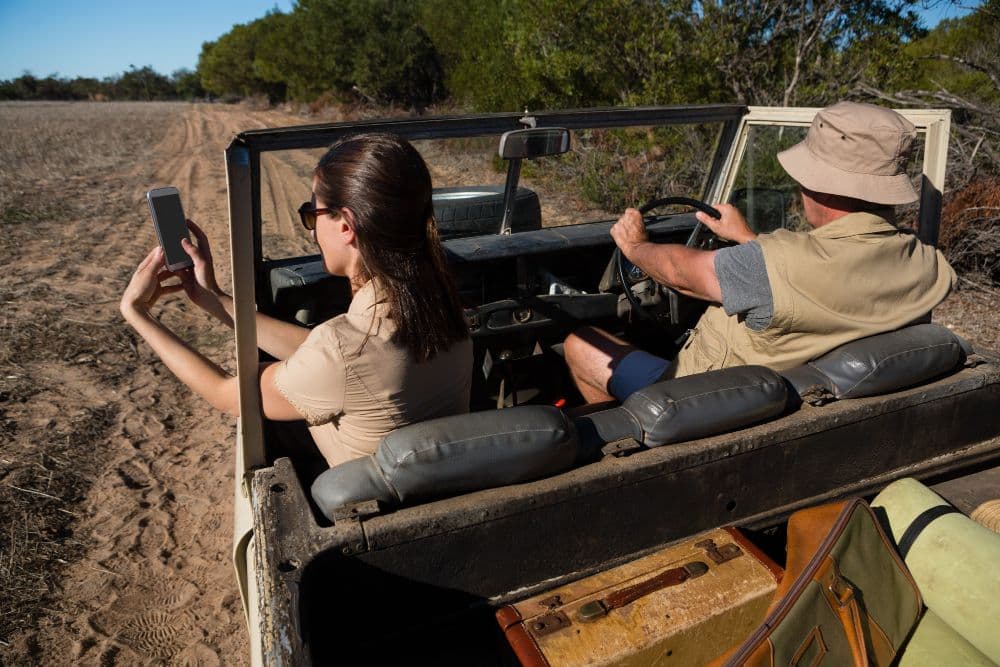 Choosing stays near wildlife zones in Ranthambore and Bandhavgarh